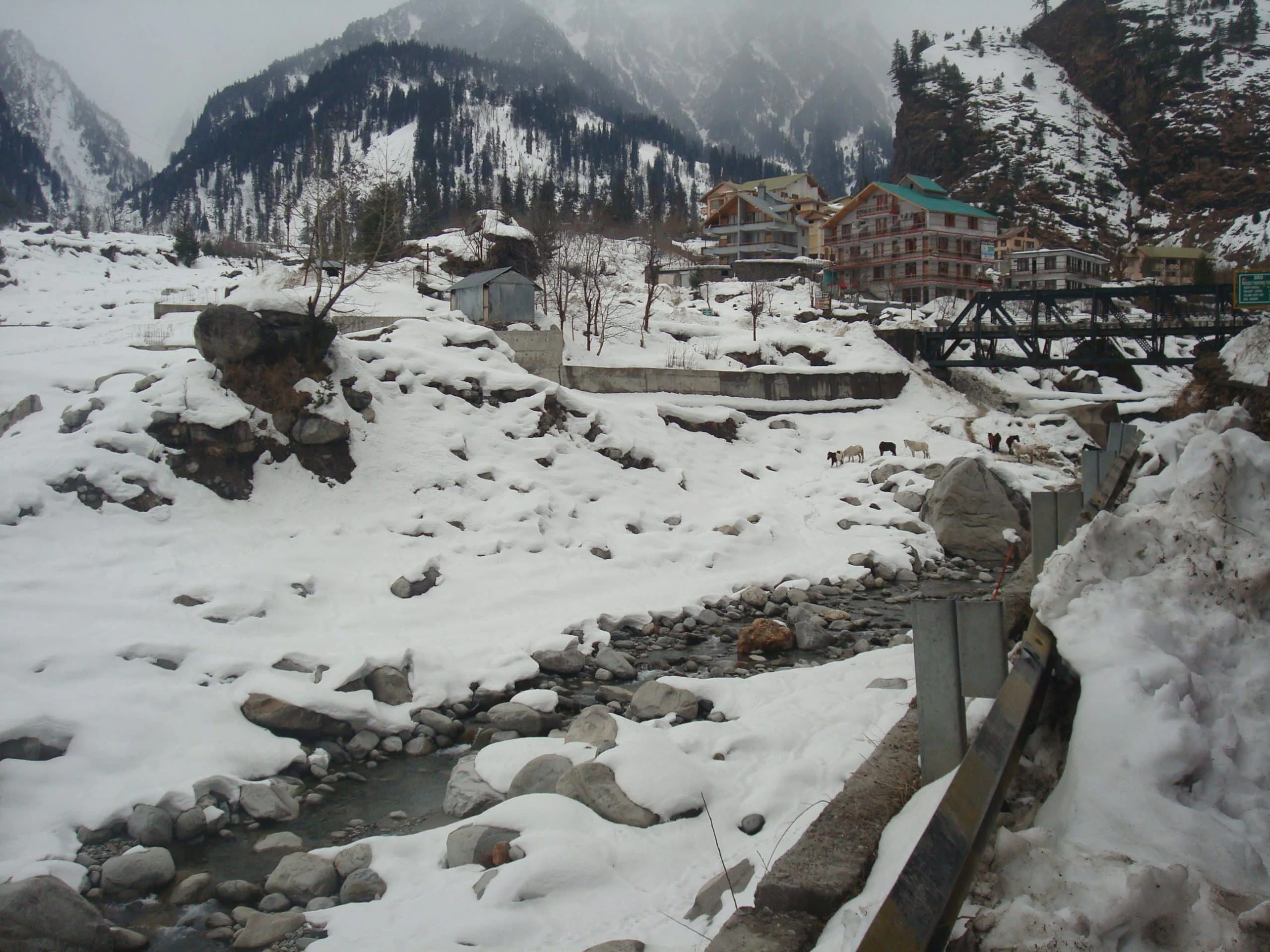 Manali
